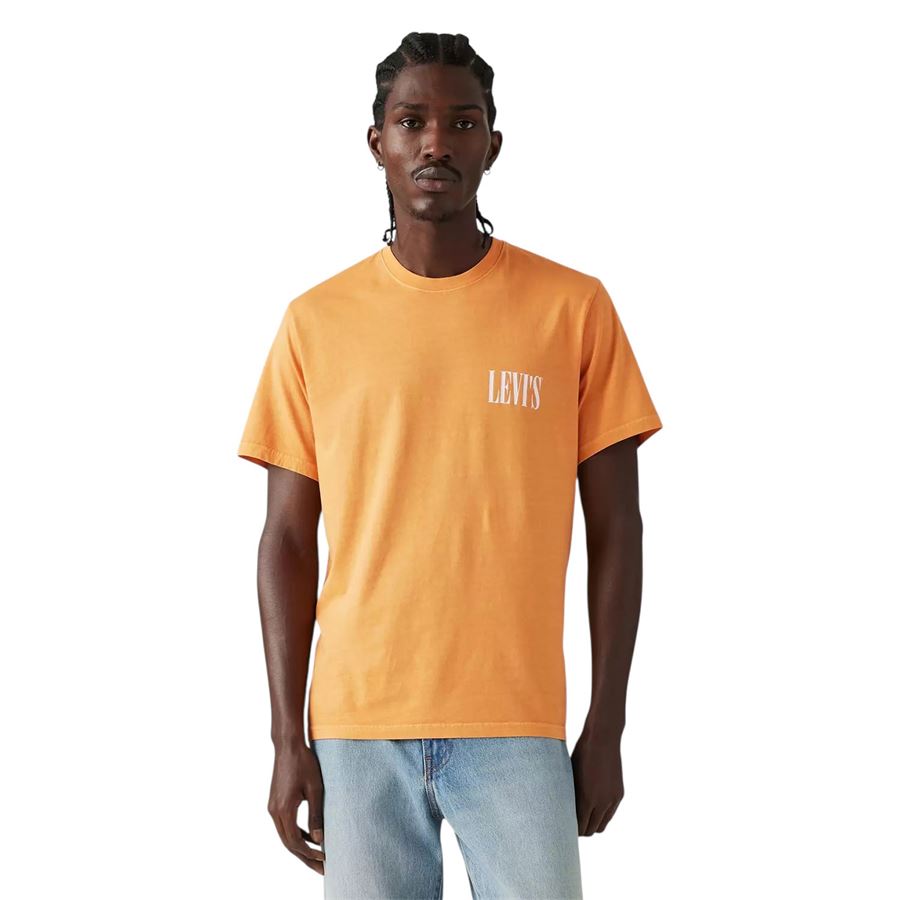 Relaxed Fit Short Sleeve Graphic T-shirt manica corta da uomo Levis | 16143/1684X